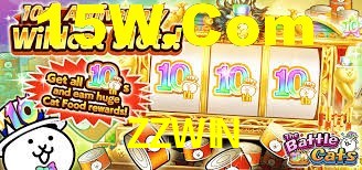 ZZWIN